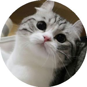 BioLink profile picture for @randomized