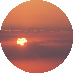 BioLink profile picture for @phony