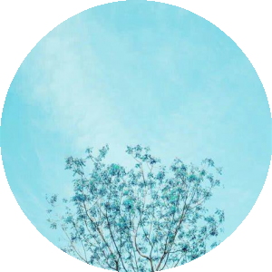 BioLink profile picture for @cast