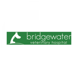 BioLink profile picture for @bridgewater
