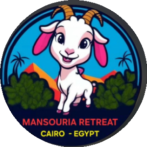 BioLink profile picture for @mansouri