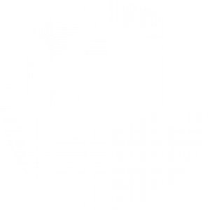 BioLink profile picture for @mikewill