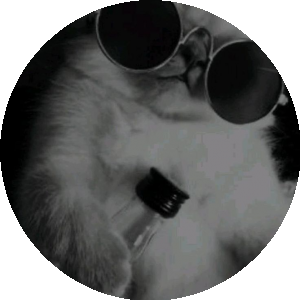 BioLink profile picture for @winchester