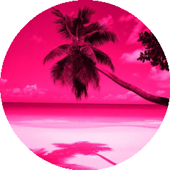 BioLink profile picture for @xeon