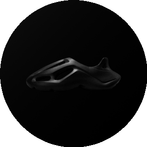 BioLink profile picture for @fits
