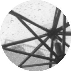 BioLink profile picture for @userrr