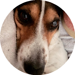 BioLink profile picture for @jd