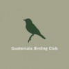 Guatemala Birding Club