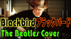 Blackbird