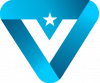 Virtual Veterans Communities