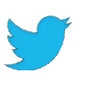 🐦 Twitter