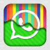 Whats App Us
