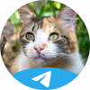 I'm on Telegram FYI