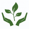 Official Website
