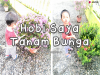 Hobi Saya Tanam Bunga