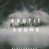 Exotic Sound