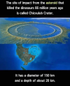 How Chicxulub crater (Puerto Rico) shaped evolution.