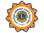 BioLink profile picture for @lions