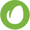 Envato Elements
