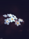 My blog