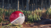 Recreating Pokéball