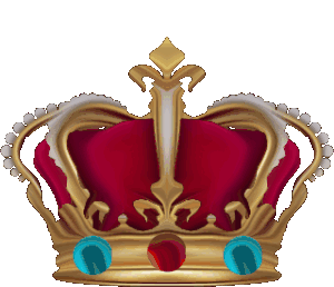 REGINA 4000 PUNCTE