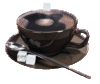 Chaotic Forager Wild Berry Blend Coffee!