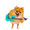 Musia MGR - Info