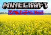 Minecraft JJ1982's Mod