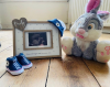 Hyperemesis & Perinatal Anxiety Short Film