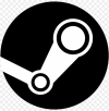 Steam