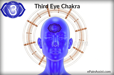 Chakra Meditation 7 Days workshop on youtube