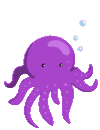 Octo's setup