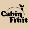 Shop my cabin vibe designs, awesome fun gifts!