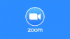 Salle Zoom de Froggy