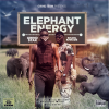 JJ GrindStar - Elephant Energy (Album)