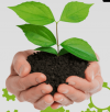 Zoom Operational Excellence
