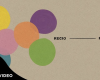 "Price O Love" - Recio [Official LV]