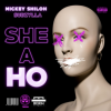 "She a Ho" - Mickey Shiloh & Subzylla