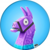 Fortnite Stats