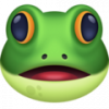 Je m'abonne à la chaine Youtube de Froggy