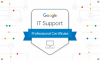 Google Professional Certificates (paid)