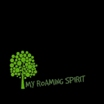 My travel blog - My Roaming Spirit