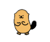 ANIMATION