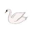 Sign up for Swan Bitcoin & Get $10 in BTC