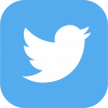 Twitter (Dev)