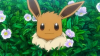 PokeFarm Q