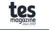 TES article