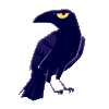 CAW KILLED THE ZERO