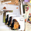 EXTENSION SERVICE #1: BOGS